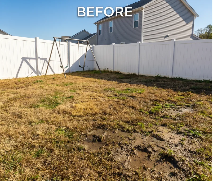 Before: bare patches under large oak tree