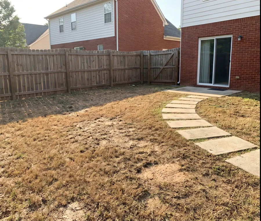 Before: muddy worn backyard from dog activity
